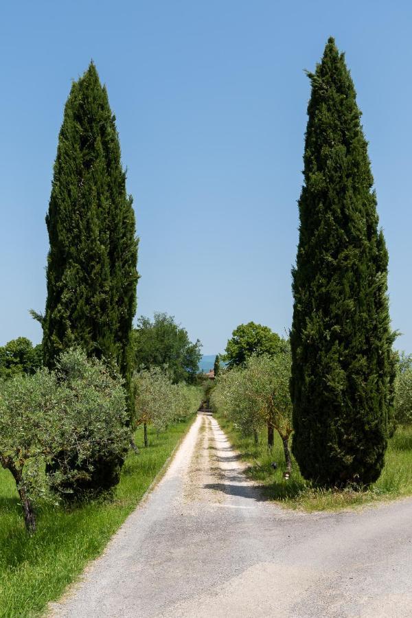 Villa Il Rossignolo Грассіна Екстер'єр фото